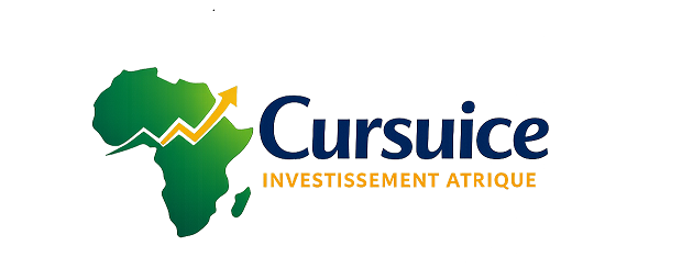 Cursuice Investissement Afrique